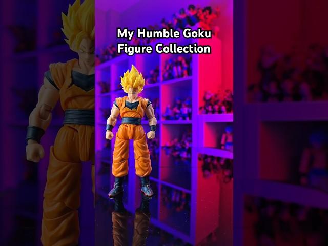 My humble Goku Action Figure Collection so far…