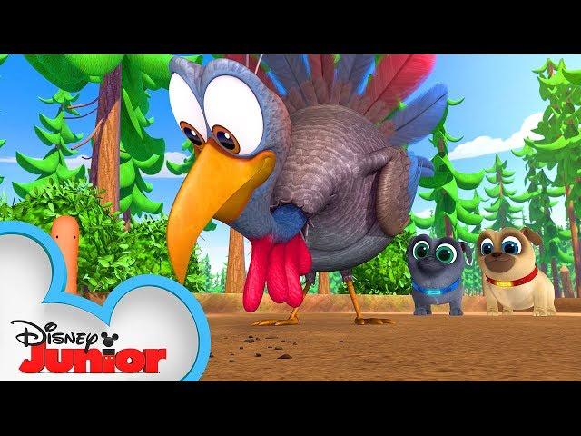 Happy Thanksgiving from Bingo and Rolly  | Puppy Dog Pals | Disney Junior