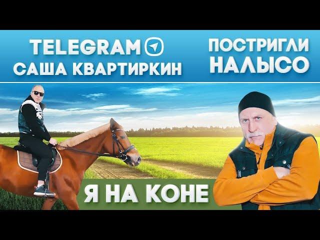 Я НА КОНЕ. ПОСТРИГЛИ НАЛЫСО. КЛУБ САША КВАРТИРКИН В TELEGRAM