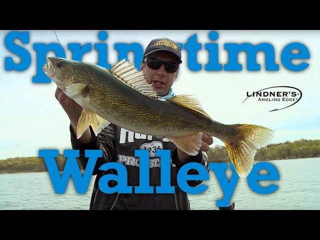 Springtime Walleye!