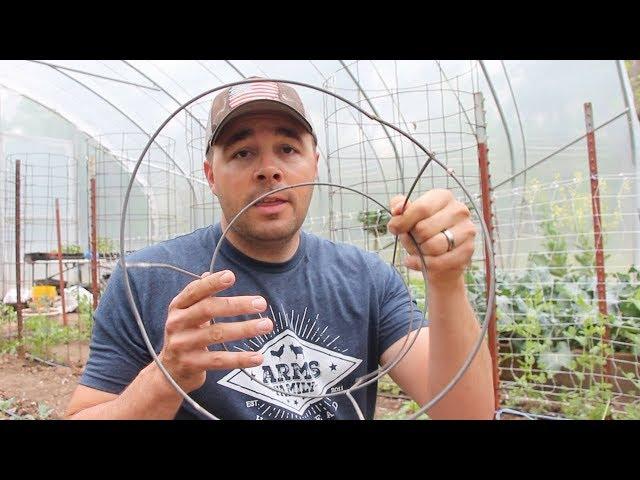 Beware of this Garden SCAM! Build Your Own Tomato Cages.