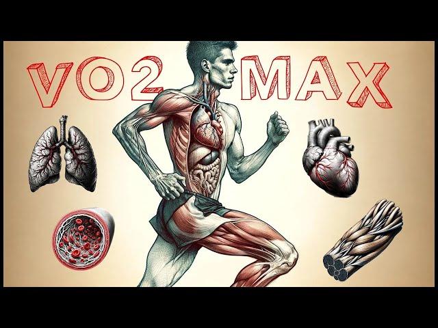 VO2max : Définition, Limitations & Training