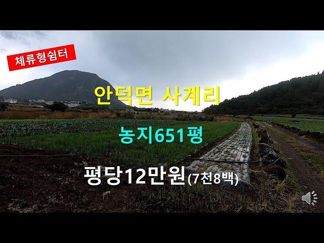 [제주빠빠] 체류형쉼터용 토지 매매 ｜안덕면 사계리｜ 농지651평 평당12만원총액7천8백 010-3318-5088