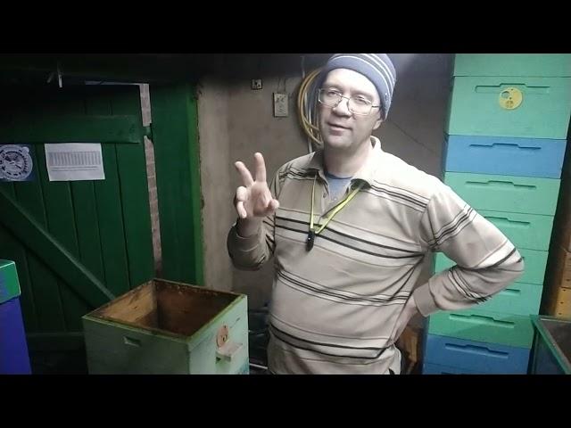 Как КЛЕЩ СЪЕЛ ВСЕХ ПЧЁЛ!!! How THE TICK ATE ALL THE BEES!!!