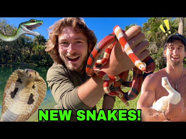 New VENOMOUS Snakes! with @TooTurntTony