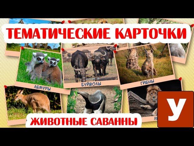 Карточки для малышей - Презентация "Обитатели саванны"