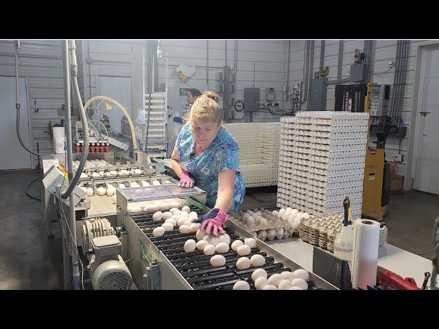 NNTC Business Spotlight: 4&4 Farms