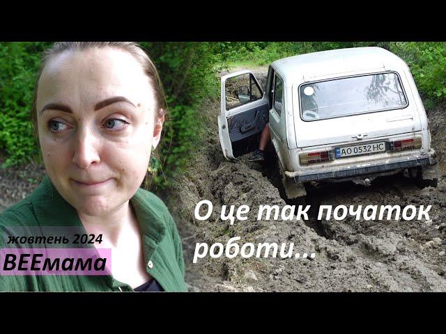 Як я стала керівником проєкту в Карпатах / о це ми вляпались! / гора Рожок / знову Київ?