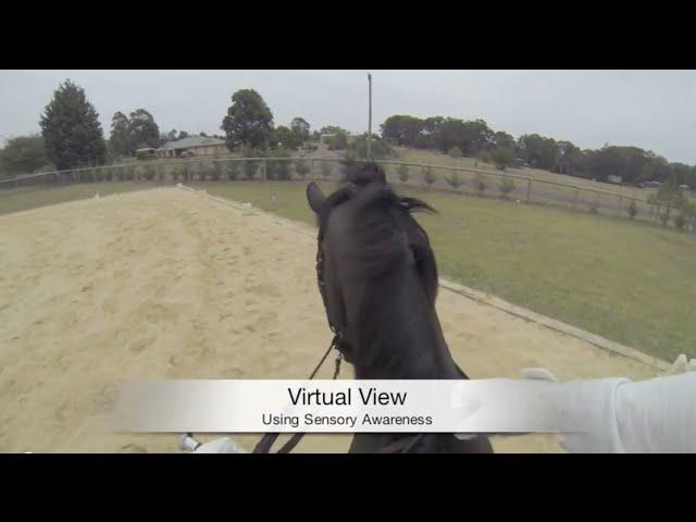 Virtual View: Using Sensory Awareness