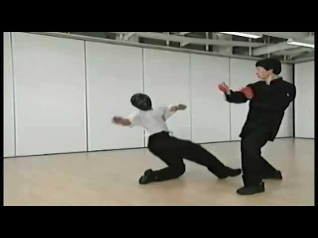 Preview - Samuel Kwok - Wing Chun Vol 1 - SIU LIM TAO