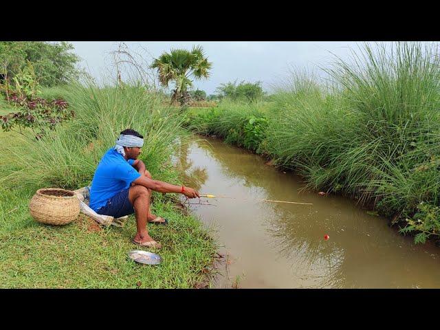 Fishing Video || I would not have believed if I had not seen so many fish in the village canal