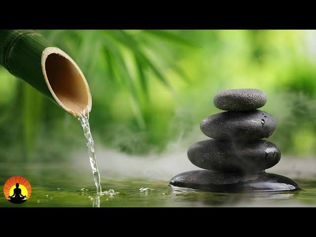 Zen Meditation Music, Reiki Music, Chakra, Relaxing Music, Music for Stress Relief, Zen 3434