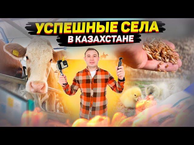 Успешные села в Казахстане. Полный обзор #казахстан