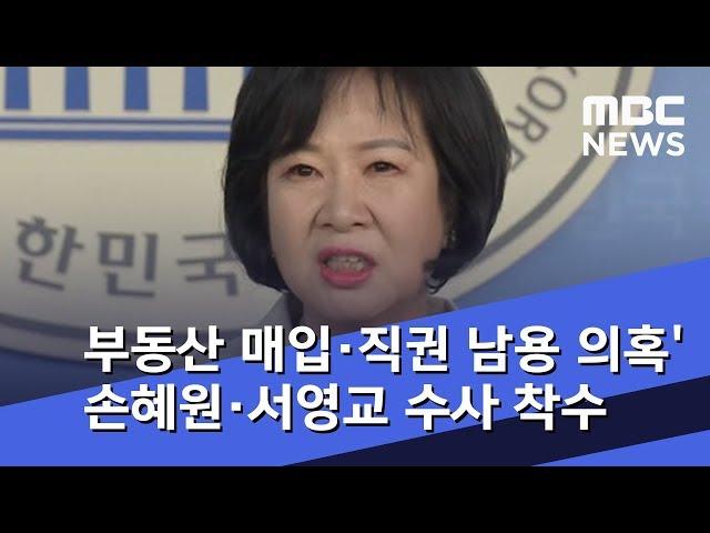 서울 남부지검 '부동산 매입·직권 남용 의혹' 손혜원·서영교 수사 착수 (2019.01.21/5MBC뉴스)