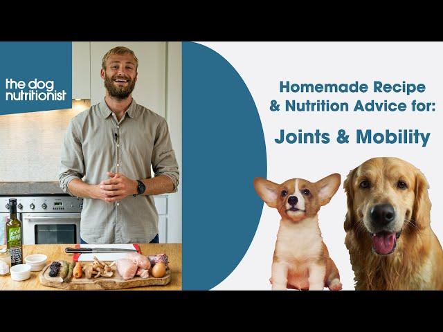 Joint & Mobility Support - Homemade Dog Food Recipe by The Dog Nutritionist