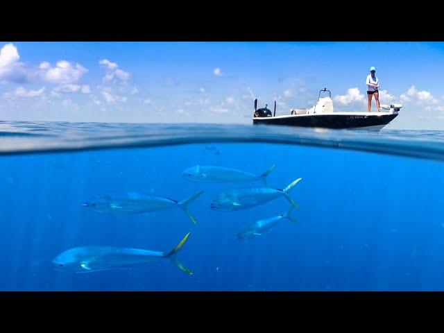 A Cinematic Journey into the Deep Sea. | Mahi Catch & Cook￼