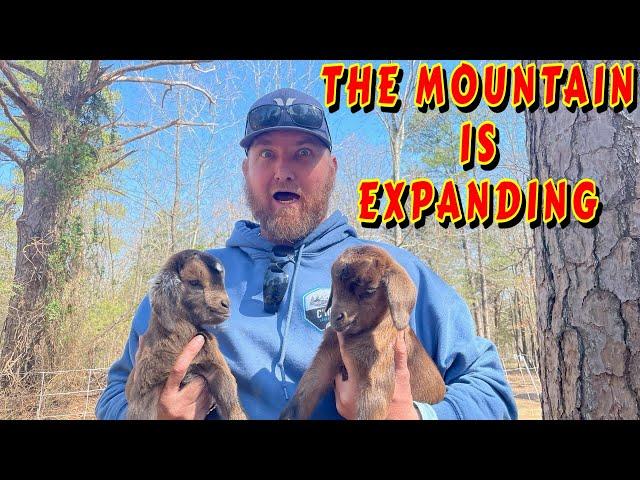 BIG CHANGES ON C'MON MOUNTAIN |tiny house, homesteading, off-grid cabin build, DIY HOW TO baby goats