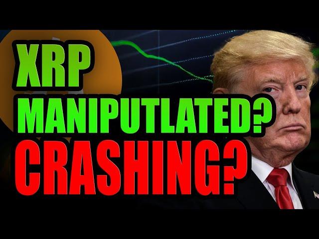 XRP, Bitcoin Crashing to Zero? Here is why its all Crashing.