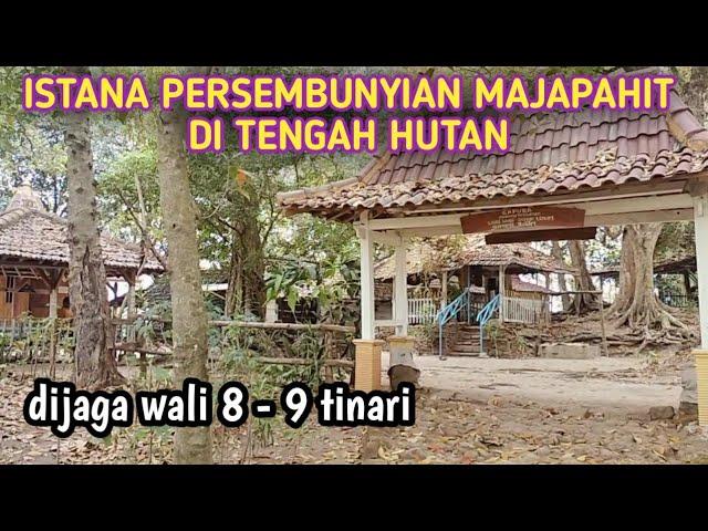GEMPAR !! ISTANA PERSEMBUNYIAN MAJAPAHIT DI TENGAH HUTAN || ratusan tahun dijaga wali 8 - 9 tinari