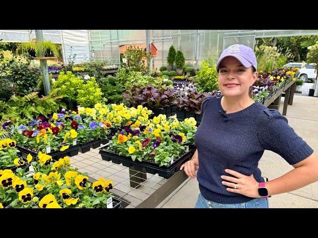 It's Go Time For Planting & Fabulous Fall Flowers