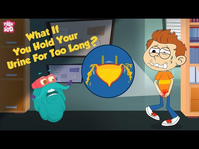 What If You Hold Your Urine For Too Long? | How Urinary System Works? | The Dr Binocs Show For Kids