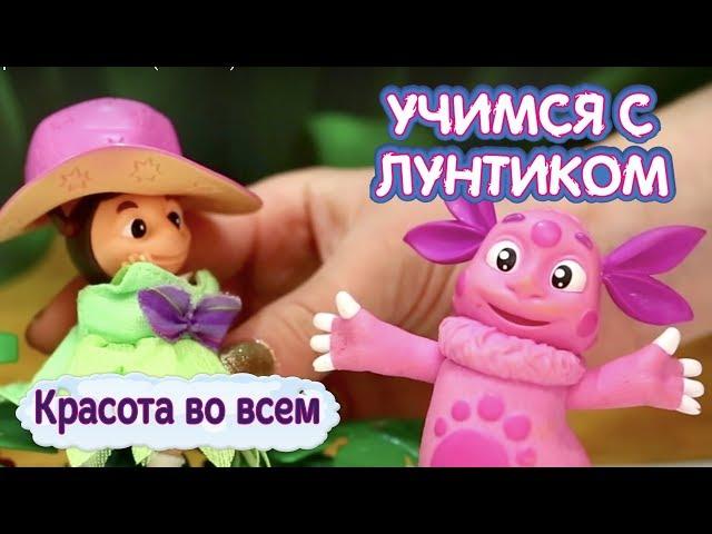 Учимся с Лунтиком -  Красота во всем. Сборник