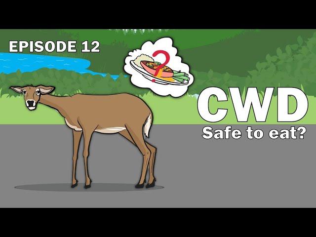 CWD Series Episode 12 -  Is it safe to eat CWD-positive deer?