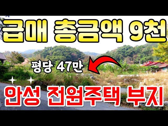 안성 토지 - 전원주택 부지 반값 급매매, 총금액 9천만원, 계획관리, 자연취락, 안성시에 마지막 남은 1억 이하 전원주택부지 매매,  실수요자추천, 안성땅 전문 원삼박사부동산