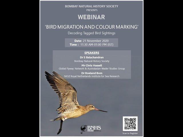 Recording of webinar on 'Bird Migration and Colour Marking' | Nov 21