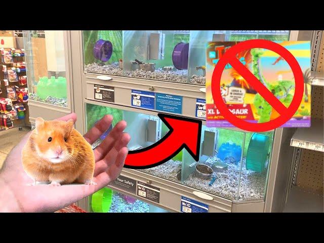 What Items NOT TO BUY For HAMSTERS! 