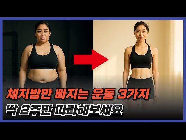 운동은 딱 12분만 하세요. 가장 효율적인 다이어트 운동법 3가지 / 논문 100편 18분 요약