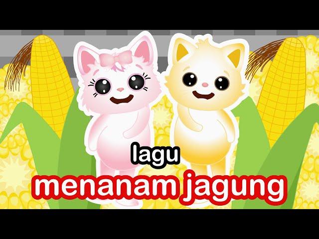 Lagu Cangkul Cangkul Cangkul Yang Dalam Menanam Jagung Di Kebun Kita