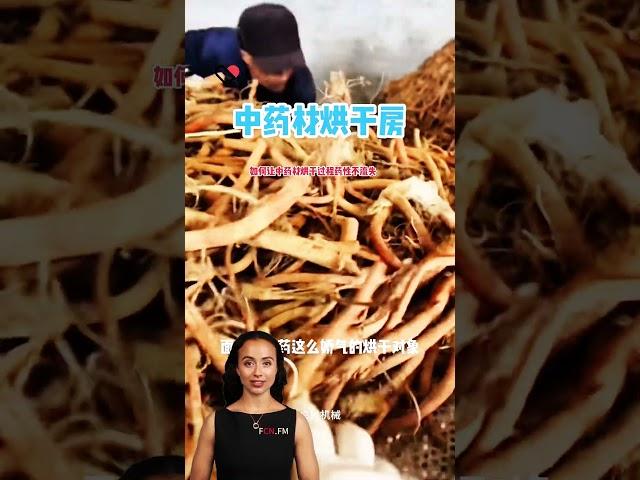 #fcnfm The Ultimate Drying Room for Ginseng, Mushrooms, and More