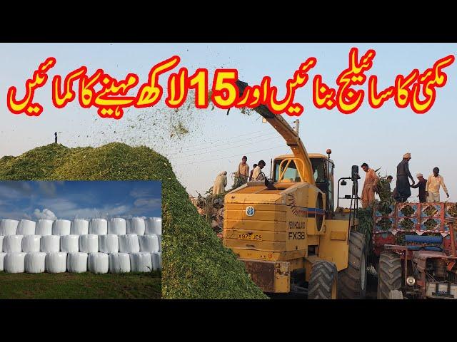 corn silage making Profitable business ideas 2022II