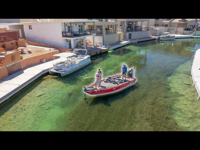 Exploring Crystal Clear Canals For GIANT Multispecies Fish -- Casting Concrete PT 2