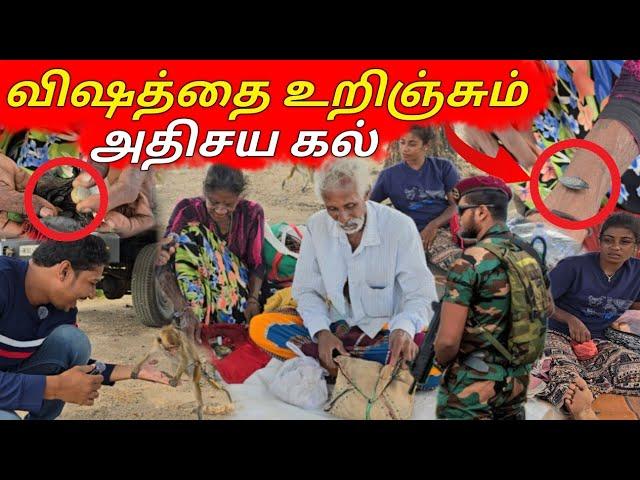 இராணுவம் செய்த செயல் | யாழில் தமிழ் பேசும் தெலுங்கு மக்கள் | Telugu People In Jaffna