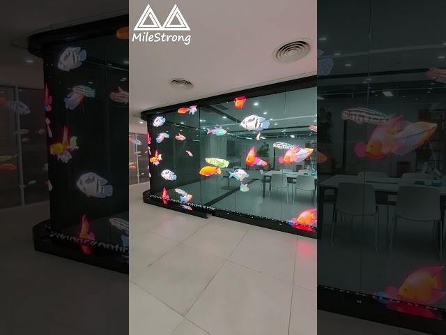 Flexible Transparent Holographic LED Display Screen for Showroom