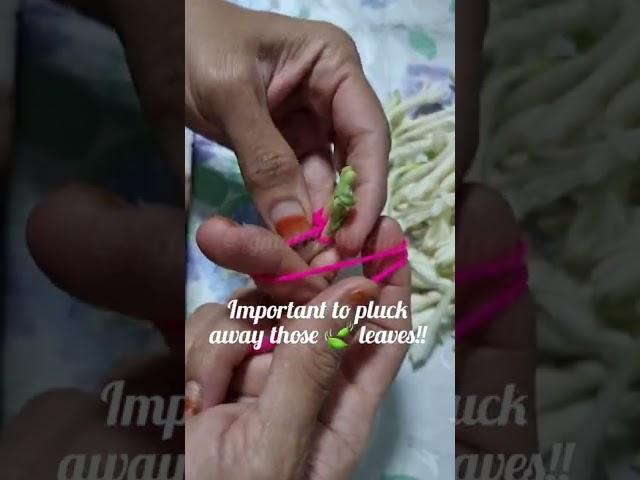 Sampangi Garland / Creative way to tie garland/Braided Garland style / Tuberose Garland