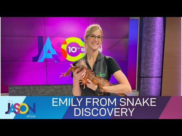 Tarantulas, lizards, snakes & more! Creepy critters from Emily at Snake Discovery