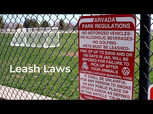 Leash Laws