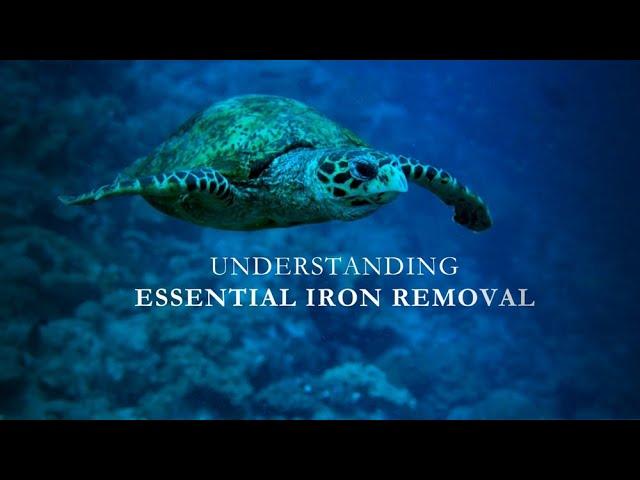 Essential Iron Removal for Safe Drinking Water - Alantech Solutions