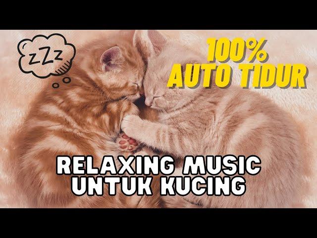 LAGU TIDUR KUCING - RELAXING MUSIK UNTUK KUCING | LULLABY FOR CAT | 100% AUTO TIDUR