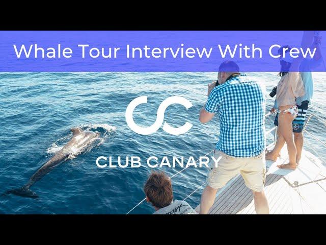 Inside Whale Watching in the Canary Islands: Exclusive Crew Member Interview  | Club Canary Insight