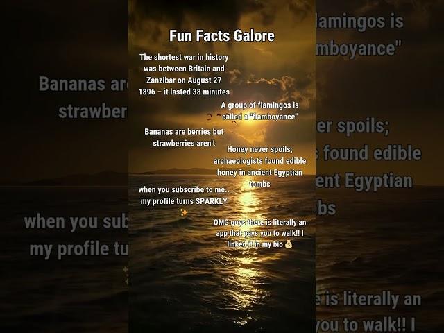 Fun facts galore 