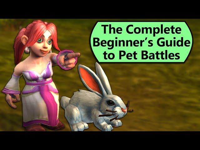 How to Get Started with Pet Battles From Scratch