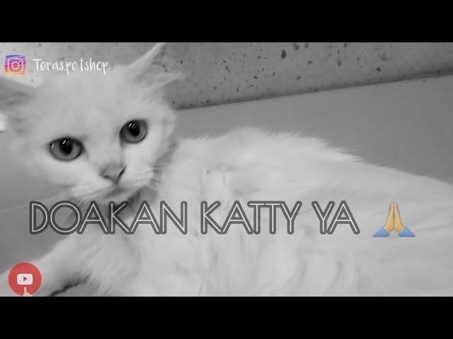 CHECK UP PERTAMA,KATTY KE DRH.OKMAN