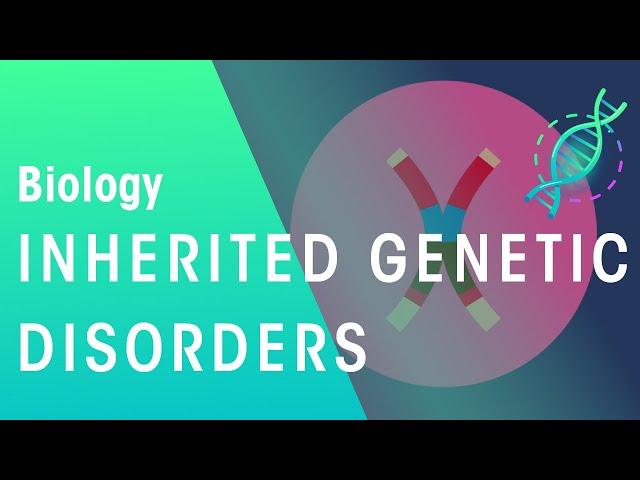 Inherited Genetic Disorders | Genetics | Biology | FuseSchool