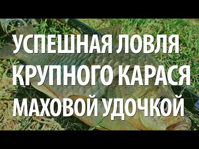 КРУПНАЯ РЫБА КАРАСЬ. РЫБАЛКА на КАРАСЯ ПОПЛАВОЧНОЙ УДОЧКОЙ