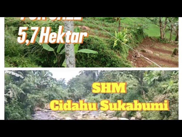 TANAH MURAH TERBELAH SUNGAI VIEW GUNUNG 5,7 HEKTAR #jualtanah #sungai @aldipropertybgr915