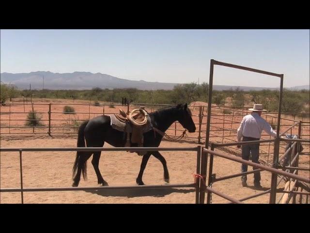 From the Archives - Riding with the Flag and Tarp